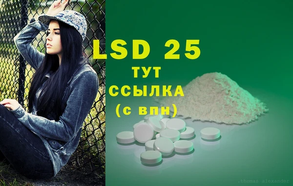 дживик Абаза