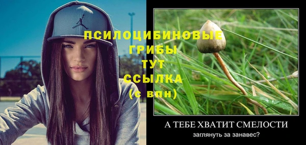 дживик Абаза