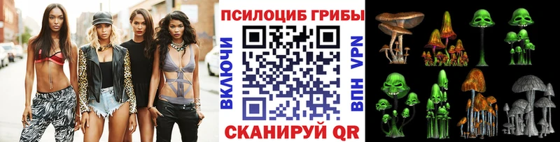 блэк спрут ТОР  Тетюши  Псилоцибиновые грибы мицелий 